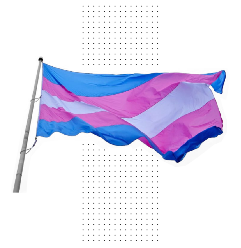 Bandeira Comunidade Trans