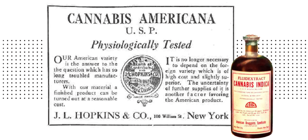 Cannabis Medicinal (Imagem: Reprodução)