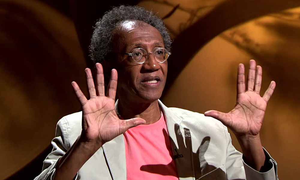 Hélio Santos (Imagem: TV Cultura)